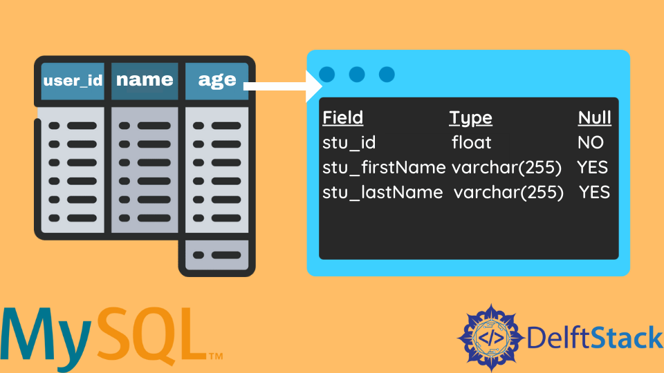 get-column-names-in-mysql-delft-stack